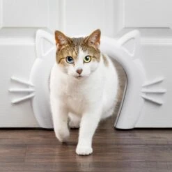 PetSafe Staywell® Cat Corridor - Kattendoorgang Voor Binnenshuis - Overschilderbaar Design - Voor Katten Tot 9 Kg - Staywell Cat Corridor 12 PetSafe Staywell® Cat Corridor - Kattendoorgang Voor Binnenshuis - Overschilderbaar Design - Voor Katten Tot 9 Kg - Staywell Cat Corridor -Kattenproducten 1200x1200 534