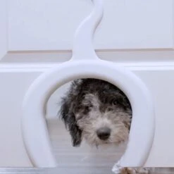 PetSafe Staywell® Cat Corridor - Kattendoorgang Voor Binnenshuis - Overschilderbaar Design - Voor Katten Tot 9 Kg - Staywell Cat Corridor 14 PetSafe Staywell® Cat Corridor - Kattendoorgang Voor Binnenshuis - Overschilderbaar Design - Voor Katten Tot 9 Kg - Staywell Cat Corridor -Kattenproducten 1200x1200 535