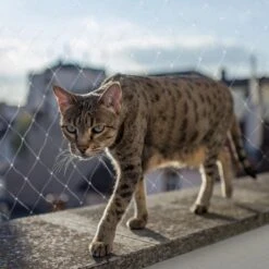 Kattennet Premium - 800 X 300 CM - Kattennet Voor Balkon - Transparant - Balkon Net - Makkelijk Te Monteren- Kattengaas 14 Kattennet Premium - 800 X 300 CM - Kattennet Voor Balkon - Transparant - Balkon Net - Makkelijk Te Monteren- Kattengaas -Kattenproducten 1200x1200 541
