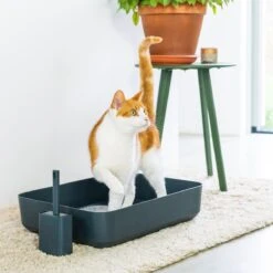 Hoopo® Poh Kattenbak Grijs - Open Kattenbak - Design Kattenbak - Kattenbakschep - 50x37.5x12.7 Cm - Grote Kattenbak 10 Hoopo® Poh Kattenbak Grijs - Open Kattenbak - Design Kattenbak - Kattenbakschep - 50x37.5x12.7 Cm - Grote Kattenbak -Kattenproducten 1200x1200 549
