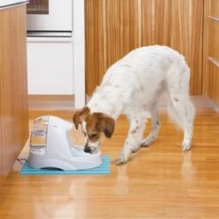 Petsafe Drinkwell Platinum - Drinkfontein - 5 L -Kattenproducten 1200x1200 55