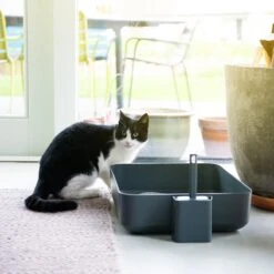 Hoopo® Poh Kattenbak Grijs - Open Kattenbak - Design Kattenbak - Kattenbakschep - 50x37.5x12.7 Cm - Grote Kattenbak 11 Hoopo® Poh Kattenbak Grijs - Open Kattenbak - Design Kattenbak - Kattenbakschep - 50x37.5x12.7 Cm - Grote Kattenbak -Kattenproducten 1200x1200 550