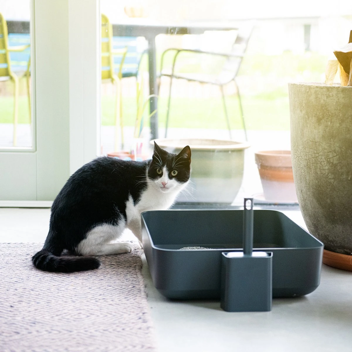 Hoopo® Poh Kattenbak Grijs - Open Kattenbak - Design Kattenbak - Kattenbakschep - 50x37.5x12.7 Cm - Grote Kattenbak 6 Hoopo® Poh Kattenbak Grijs - Open Kattenbak - Design Kattenbak - Kattenbakschep - 50x37.5x12.7 Cm - Grote Kattenbak - Afbeelding 4
