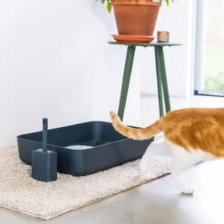 Hoopo® Poh Kattenbak Grijs - Open Kattenbak - Design Kattenbak - Kattenbakschep - 50x37.5x12.7 Cm - Grote Kattenbak 13 Hoopo® Poh Kattenbak Grijs - Open Kattenbak - Design Kattenbak - Kattenbakschep - 50x37.5x12.7 Cm - Grote Kattenbak -Kattenproducten 1200x1200 552