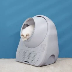 Catlink Smart Litter Box - Scooper Young - Zelfreinigende Kattenbak Zonder Wifi - Kleur Grijs -Kattenproducten 1200x1200 588