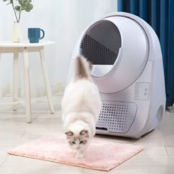 Catlink Smart Litter Box - Scooper Young - Zelfreinigende Kattenbak Zonder Wifi - Kleur Grijs -Kattenproducten 1200x1200 590