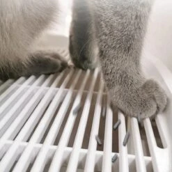 YA Products Kattenbak Space Series - Grote Kattenbak - Kattenbak Met Lade Inclusief Schep 9 YA Products Kattenbak Space Series - Grote Kattenbak - Kattenbak Met Lade Inclusief Schep -Kattenproducten 1200x1200 592