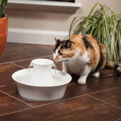 Petsafe Drinkwell Ceramic Avalon - Drinkfontein - 2 L -Kattenproducten 1200x1200 60