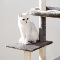 Signature Home Catty Krabpaal Met Kattenbak - Kattenbakkast - Kattenhuis Met Deur En Slot - Krabpalen Met Hangmat Mand Katten Huis - Kattenbakmeubel Verborgen - Alles-in-één Kattenspeelgoed Met Kattenhuis - Grijs - 60cm X 150cm X 48cm 21 Signature Home Catty Krabpaal Met Kattenbak - Kattenbakkast - Kattenhuis Met Deur En Slot - Krabpalen Met Hangmat Mand Katten Huis - Kattenbakmeubel Verborgen - Alles-in-één Kattenspeelgoed Met Kattenhuis - Grijs - 60cm X 150cm X 48cm -Kattenproducten 1200x1200 606