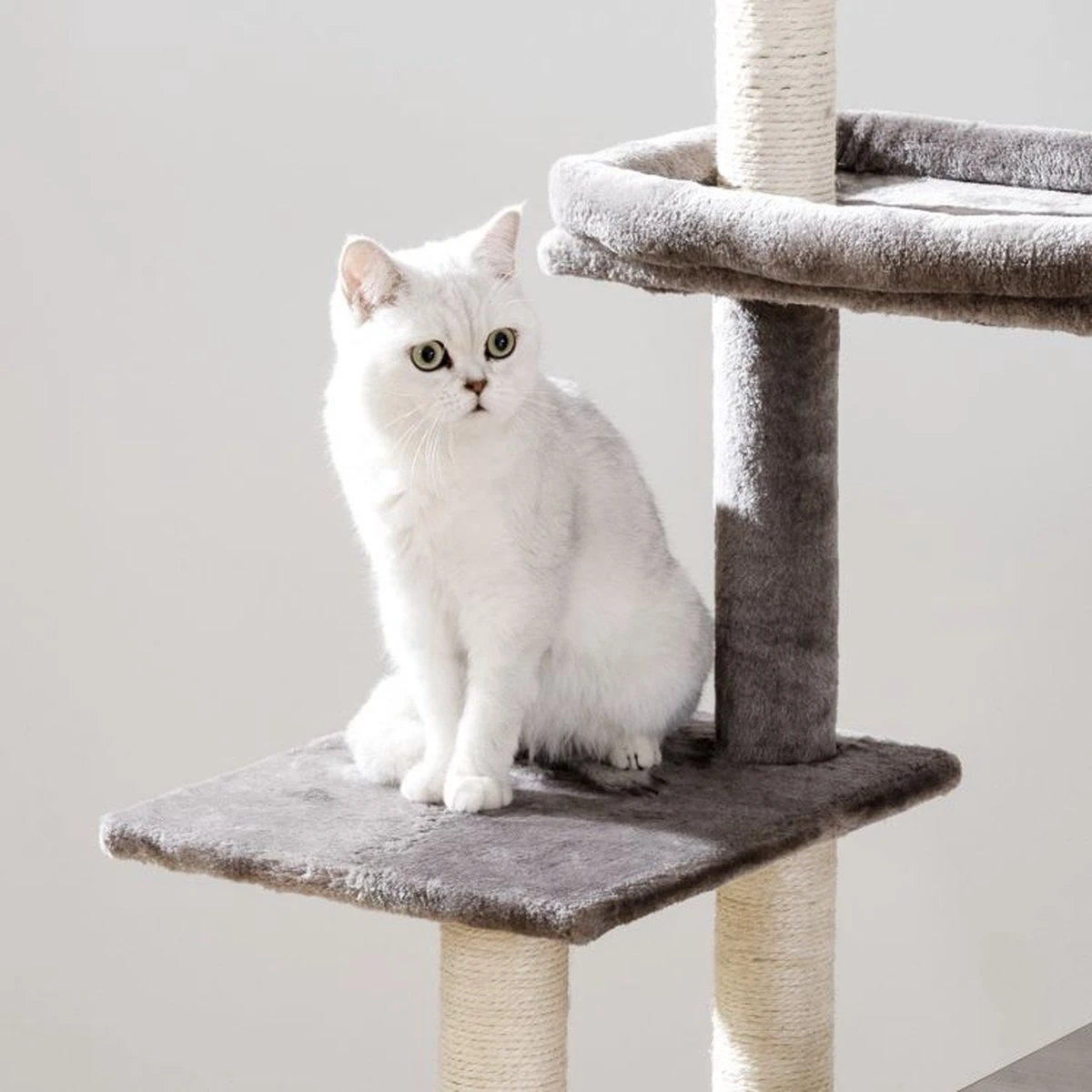 Signature Home Catty Krabpaal Met Kattenbak - Kattenbakkast - Kattenhuis Met Deur En Slot - Krabpalen Met Hangmat Mand Katten Huis - Kattenbakmeubel Verborgen - Alles-in-één Kattenspeelgoed Met Kattenhuis - Grijs - 60cm X 150cm X 48cm 10 Signature Home Catty Krabpaal Met Kattenbak - Kattenbakkast - Kattenhuis Met Deur En Slot - Krabpalen Met Hangmat Mand Katten Huis - Kattenbakmeubel Verborgen - Alles-in-één Kattenspeelgoed Met Kattenhuis - Grijs - 60cm X 150cm X 48cm - Afbeelding 8