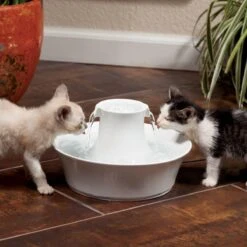 Petsafe Drinkwell Ceramic Avalon - Drinkfontein - 2 L -Kattenproducten 1200x1200 61