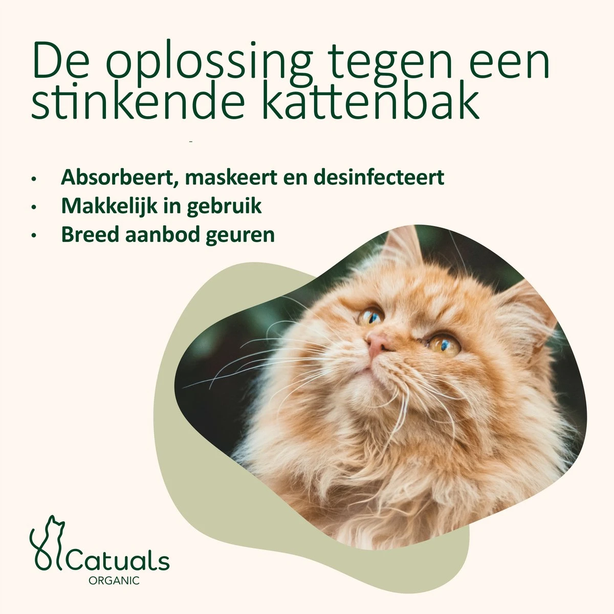 Catuals Kattenbakvulling Geurverdrijver - Neutraliseert Urinegeur Van Katten - Cotton Fresh - 1kg 9 Catuals Kattenbakvulling Geurverdrijver - Neutraliseert Urinegeur Van Katten - Cotton Fresh - 1kg - Afbeelding 7