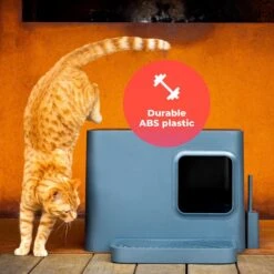 Hoopo® Dome Plus Kattenbak Grijs - Kattenbak - Kattenbakschep - 50x37.5x38cm - Grote Kattenbak 16 Hoopo® Dome Plus Kattenbak Grijs - Kattenbak - Kattenbakschep - 50x37.5x38cm - Grote Kattenbak -Kattenproducten 1200x1200 615