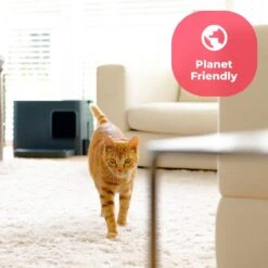 Hoopo® Dome Plus Kattenbak Grijs - Kattenbak - Kattenbakschep - 50x37.5x38cm - Grote Kattenbak 19 Hoopo® Dome Plus Kattenbak Grijs - Kattenbak - Kattenbakschep - 50x37.5x38cm - Grote Kattenbak -Kattenproducten 1200x1200 616