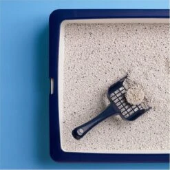 Catsan Active Fresh - Kattenbakvulling - 8 L 11 Catsan Active Fresh - Kattenbakvulling - 8 L -Kattenproducten 1200x1200 644