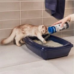 Biokat's Active Pearls - 700 Ml - Toevoeging Voor Kattenbakvulling Met Actieve Kool 13 Biokat's Active Pearls - 700 Ml - Toevoeging Voor Kattenbakvulling Met Actieve Kool -Kattenproducten 1200x1200 645