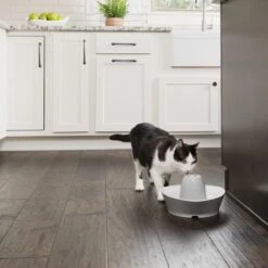 PetSafe® Streamside Ceramic Pet Fountain - Keramische Drinkfontein Voor Katten En Kleine Honden - Water Borrelt Zacht Over De Toren - Door Het Design Van Alle Kanten Bereikbaar - 1,8 Liter - PetSafe Streamside 16 PetSafe® Streamside Ceramic Pet Fountain - Keramische Drinkfontein Voor Katten En Kleine Honden - Water Borrelt Zacht Over De Toren - Door Het Design Van Alle Kanten Bereikbaar - 1,8 Liter - PetSafe Streamside -Kattenproducten 1200x1200 67