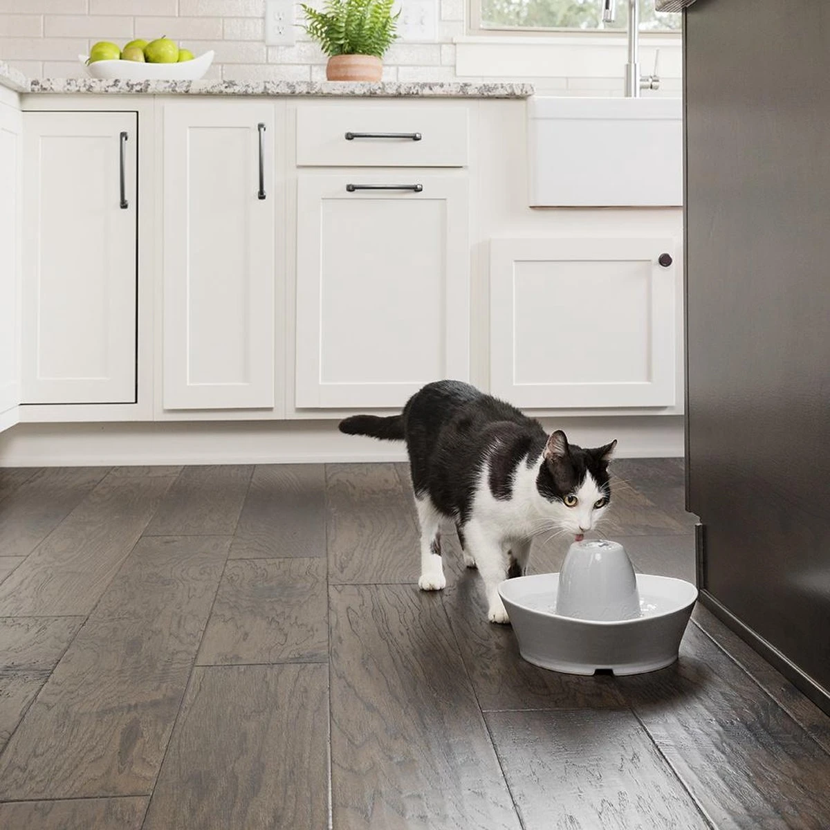 PetSafe® Streamside Ceramic Pet Fountain - Keramische Drinkfontein Voor Katten En Kleine Honden - Water Borrelt Zacht Over De Toren - Door Het Design Van Alle Kanten Bereikbaar - 1,8 Liter - PetSafe Streamside 8 PetSafe® Streamside Ceramic Pet Fountain - Keramische Drinkfontein Voor Katten En Kleine Honden - Water Borrelt Zacht Over De Toren - Door Het Design Van Alle Kanten Bereikbaar - 1,8 Liter - PetSafe Streamside - Afbeelding 6