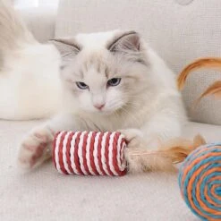 GIZMO Luxe Kattenspeeltjes Set - 7 Speeltjes - Interactieve Kattenhengel, Kattenspeelgoed & Speelmuisjes - Kitten Speeltjes 15 GIZMO Luxe Kattenspeeltjes Set - 7 Speeltjes - Interactieve Kattenhengel, Kattenspeelgoed & Speelmuisjes - Kitten Speeltjes -Kattenproducten 1200x1200 683
