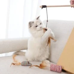 GIZMO Luxe Kattenspeeltjes Set - 7 Speeltjes - Interactieve Kattenhengel, Kattenspeelgoed & Speelmuisjes - Kitten Speeltjes 20 GIZMO Luxe Kattenspeeltjes Set - 7 Speeltjes - Interactieve Kattenhengel, Kattenspeelgoed & Speelmuisjes - Kitten Speeltjes -Kattenproducten 1200x1200 685