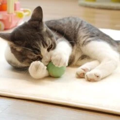 Cheerble | Mini Bal 3.0 | Roze | Zelf Rollende Bal Voor Katten | 3 Automatische Speelmodi | Interactief En Intelligentie Kattenspeelgoed | Kattenspeeltje 25 Cheerble | Mini Bal 3.0 | Roze | Zelf Rollende Bal Voor Katten | 3 Automatische Speelmodi | Interactief En Intelligentie Kattenspeelgoed | Kattenspeeltje -Kattenproducten 1200x1200 690