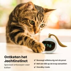 Otiume Slimme Katten Speeltje - Interactieve Zelf Rollende Bal Voor Katten - Kattenspeeltjes -Speelgoed Voor Dieren - USB Oplaadbaar -Kattenproducten 1200x1200 692