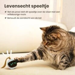 Otiume Slimme Katten Speeltje - Interactieve Zelf Rollende Bal Voor Katten - Kattenspeeltjes -Speelgoed Voor Dieren - USB Oplaadbaar -Kattenproducten 1200x1200 693