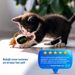 Otiume Slimme Katten Speeltje - Interactieve Zelf Rollende Bal Voor Katten - Kattenspeeltjes -Speelgoed Voor Dieren - USB Oplaadbaar -Kattenproducten 1200x1200 695