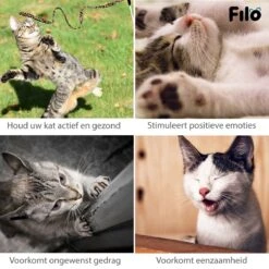 Filo Kattenspeelgoed Set 30 Stuks - Kattenspeeltje Kattentunnel - Kattenhengel - Kattenveertjes - Vis Met Kattenkruid - Kattenspeeltjes Intelligentie Kitten - Interactief Speelgoed Katten - Poezen Speeltjes 19 Filo Kattenspeelgoed Set 30 Stuks - Kattenspeeltje Kattentunnel - Kattenhengel - Kattenveertjes - Vis Met Kattenkruid - Kattenspeeltjes Intelligentie Kitten - Interactief Speelgoed Katten - Poezen Speeltjes -Kattenproducten 1200x1200 699