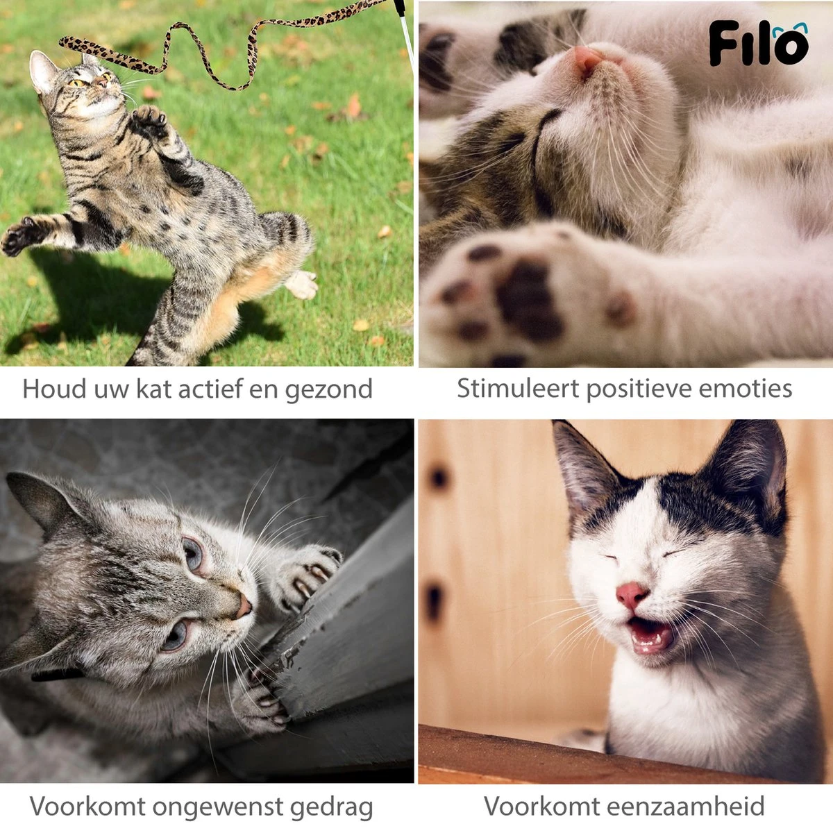 Filo Kattenspeelgoed Set 30 Stuks - Kattenspeeltje Kattentunnel - Kattenhengel - Kattenveertjes - Vis Met Kattenkruid - Kattenspeeltjes Intelligentie Kitten - Interactief Speelgoed Katten - Poezen Speeltjes 11 Filo Kattenspeelgoed Set 30 Stuks - Kattenspeeltje Kattentunnel - Kattenhengel - Kattenveertjes - Vis Met Kattenkruid - Kattenspeeltjes Intelligentie Kitten - Interactief Speelgoed Katten - Poezen Speeltjes - Afbeelding 9