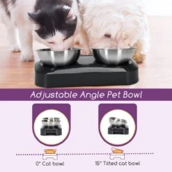 Nobleza Katten Voerbakjes - Ergonomische Dubbele Voerbak - Anti Braak Voerbak Voor Katten - Zwart - Dubbel - RVS 17 Nobleza Katten Voerbakjes - Ergonomische Dubbele Voerbak - Anti Braak Voerbak Voor Katten - Zwart - Dubbel - RVS -Kattenproducten 1200x1200 7