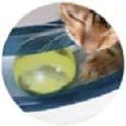 Catit Design Senses Play Circuit - Kattenspeelgoed 13 Catit Design Senses Play Circuit - Kattenspeelgoed -Kattenproducten 1200x1200 700