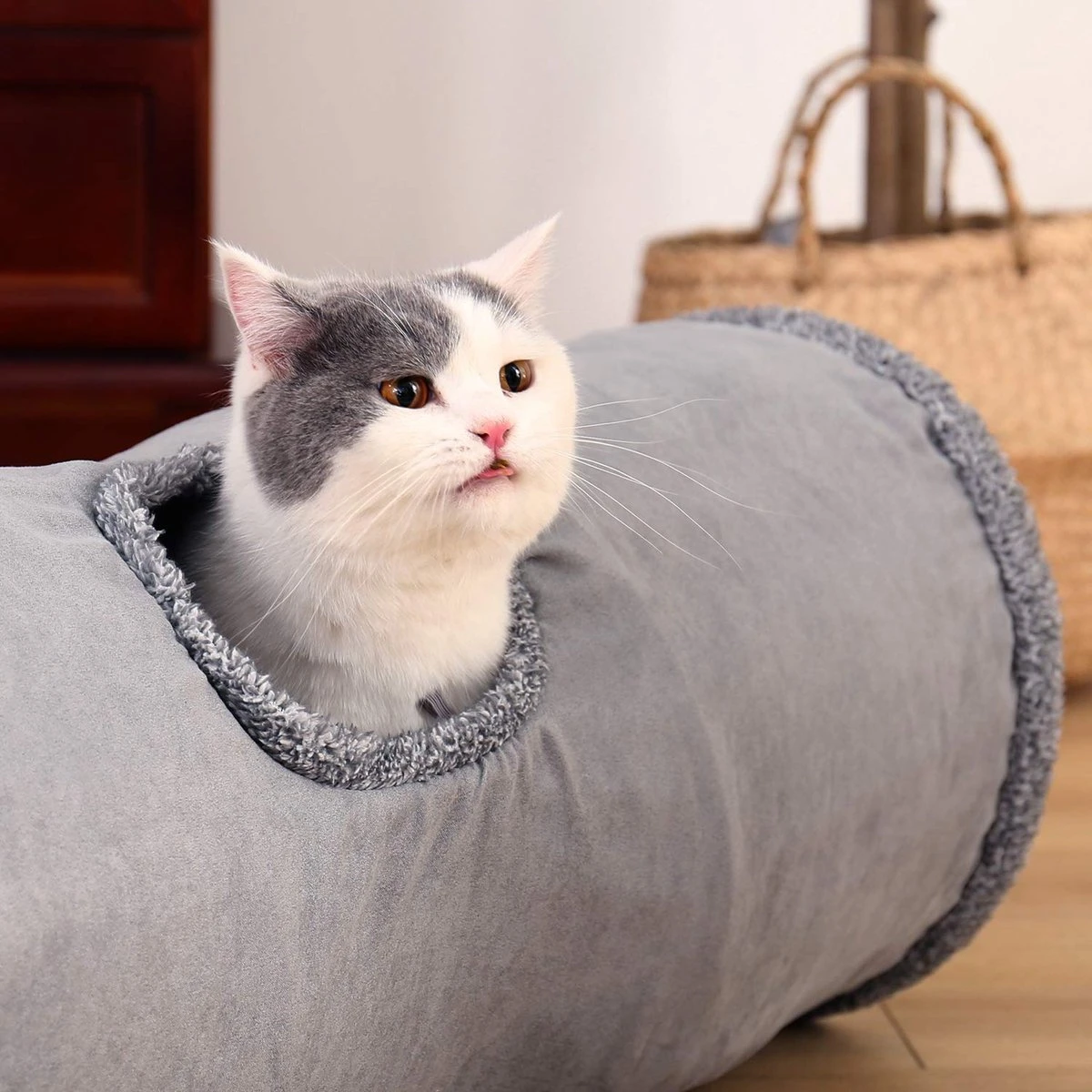 Bonbox Shop - Kattentunnel - 130 CM - Katten Speelgoed - Kitten - Spelen- Speeltunnel - Speelgoed Voor Katten 7 Bonbox Shop - Kattentunnel - 130 CM - Katten Speelgoed - Kitten - Spelen- Speeltunnel - Speelgoed Voor Katten - Afbeelding 5