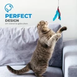 Merkloos 2 Kattenhengels Met 10 Speeltjes – Bewegende Kattenspeeltjes Met Veren En Belletjes – Interactieve Kattenspeelgoed Voor Kittens – Cat Toys 13 Merkloos 2 Kattenhengels Met 10 Speeltjes – Bewegende Kattenspeeltjes Met Veren En Belletjes – Interactieve Kattenspeelgoed Voor Kittens – Cat Toys -Kattenproducten 1200x1200 719