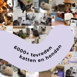 Pettadore - Laser Kattenspeeltjes - Smart Met Autoplay En Handmatig Via App 23 Pettadore - Laser Kattenspeeltjes - Smart Met Autoplay En Handmatig Via App -Kattenproducten 1200x1200 734