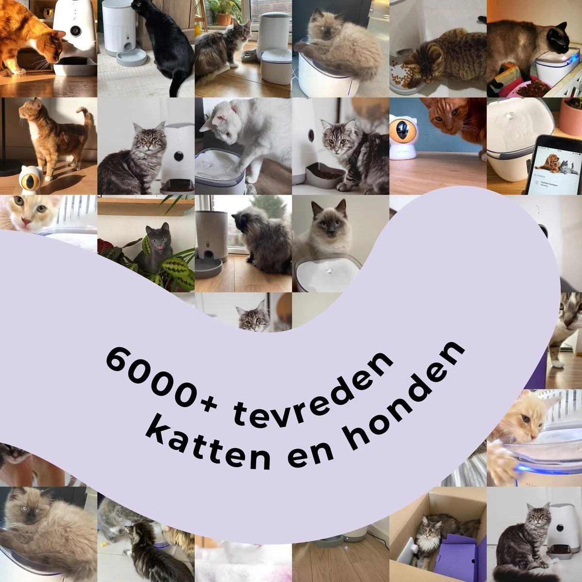 Pettadore - Laser Kattenspeeltjes - Smart Met Autoplay En Handmatig Via App 10 Pettadore - Laser Kattenspeeltjes - Smart Met Autoplay En Handmatig Via App - Afbeelding 8