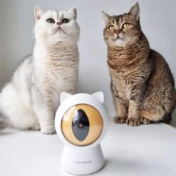 Pettadore - Laser Kattenspeeltjes - Smart Met Autoplay En Handmatig Via App 28 Pettadore - Laser Kattenspeeltjes - Smart Met Autoplay En Handmatig Via App -Kattenproducten 1200x1200 739