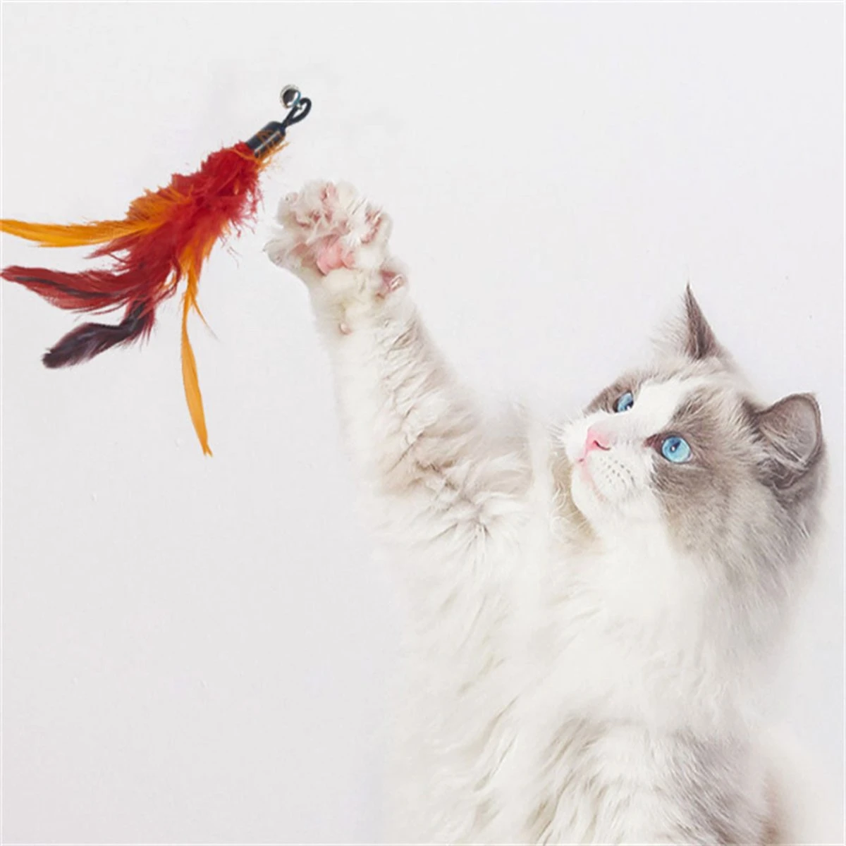 Merkloos Kattenhengel Met 10 Opzetstukjes - Kat Speelhengel Met Veren - Speelgoed Hengel Voor Katten – Kittenspeeltjes Met Veer – Kattenspeelgoed – Katten Speeltjes 7 Merkloos Kattenhengel Met 10 Opzetstukjes - Kat Speelhengel Met Veren - Speelgoed Hengel Voor Katten – Kittenspeeltjes Met Veer – Kattenspeelgoed – Katten Speeltjes - Afbeelding 5