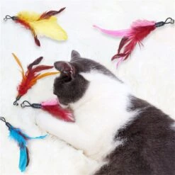 Merkloos Kattenhengel Met 10 Opzetstukjes - Kat Speelhengel Met Veren - Speelgoed Hengel Voor Katten – Kittenspeeltjes Met Veer – Kattenspeelgoed – Katten Speeltjes 13 Merkloos Kattenhengel Met 10 Opzetstukjes - Kat Speelhengel Met Veren - Speelgoed Hengel Voor Katten – Kittenspeeltjes Met Veer – Kattenspeelgoed – Katten Speeltjes -Kattenproducten 1200x1200 742