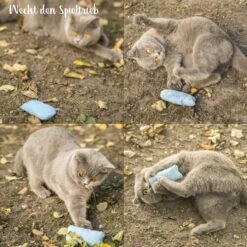 Mint Kitty Katten Speelgoed Set Van Kattenkussen Met Kattenkruid 9 Mint Kitty Katten Speelgoed Set Van Kattenkussen Met Kattenkruid -Kattenproducten 1200x1200 757