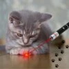 Katten Laser - Dierenwinkel Nederland