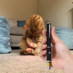 Katten Laser - Dierenwinkel Nederland -Kattenproducten 1200x1200 762