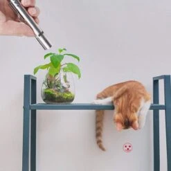 Merkloos Laserpen - Daily Accessoires - USB Oplaadbaar - Kattenspeeltjes - Laserlampje - 7 Verschillende Standen - RVS Zilver - Zaklamp - UV Lamp – Kattenspeelgoed -Kattenproducten 1200x1200 769