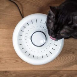 TrevoPet® Drinkfontein Kat - Waterfontein Kat - Kattenfontein - Fluisterstil - Drinkfontein - Drinkbak Kat - 2.5 Liter - Inclusief Filter - Wit 18 TrevoPet® Drinkfontein Kat - Waterfontein Kat - Kattenfontein - Fluisterstil - Drinkfontein - Drinkbak Kat - 2.5 Liter - Inclusief Filter - Wit -Kattenproducten 1200x1200 78