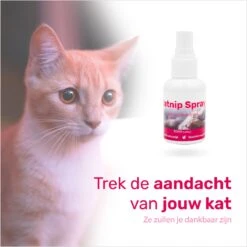 LBB - Catnip Spray 50ML - 100% Natuurlijk - CE Gekeurd - Kattenkruid Spray - Catnip Speelgoed - Valeriaan - Kat - Katten -Kattenproducten 1200x1200 800