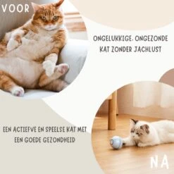 MyBuddy - Interactieve Zelf Rollende Bal - Kattenspeeltjes - Kattenspeelgoed - Bal Voor Katten - LED Lights - Speelgoed - USB - Roze -Kattenproducten 1200x1200 804