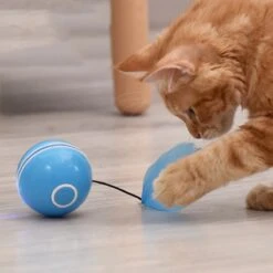 Otiume Elektrische Speelbal - Slimme Interactieve Zelfrollende Bal - Speelgoed Voor Katten - Kattenspeelgoed - Blauw 14 Otiume Elektrische Speelbal - Slimme Interactieve Zelfrollende Bal - Speelgoed Voor Katten - Kattenspeelgoed - Blauw -Kattenproducten 1200x1200 807