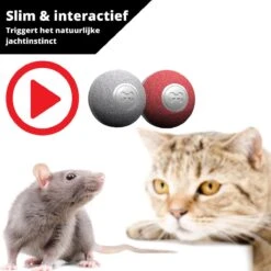 Cheerble Mini Ball 2.0 - Slimme Interactieve Zelf Rollende Bal Voor Katten - 3 Speelmodi - Kattenspeeltjes - USB Oplaadbaar - Rood 19 Cheerble Mini Ball 2.0 - Slimme Interactieve Zelf Rollende Bal Voor Katten - 3 Speelmodi - Kattenspeeltjes - USB Oplaadbaar - Rood -Kattenproducten 1200x1200 808