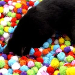 Make Me Purr Glitter Pompon Ballen (10 Stuks) - Kattenspeeltjes - Kattenspeelgoed - Speelgoed Voor Katten - Kat Speeltje Bal - Kitten Speeltjes Balletjes 11 Make Me Purr Glitter Pompon Ballen (10 Stuks) - Kattenspeeltjes - Kattenspeelgoed - Speelgoed Voor Katten - Kat Speeltje Bal - Kitten Speeltjes Balletjes -Kattenproducten 1200x1200 814