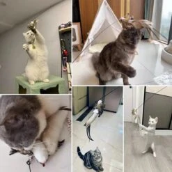 Kattenspeelgoed - Simulatie Vogel - Interactieve Grappige Kattenspeeltjes - Kattenhengel Met Zuignap + 4 Vogels + Een Kattenhengel GRATIS 20 Kattenspeelgoed - Simulatie Vogel - Interactieve Grappige Kattenspeeltjes - Kattenhengel Met Zuignap + 4 Vogels + Een Kattenhengel GRATIS -Kattenproducten 1200x1200 825